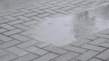 Yağmurlu bir akşam, yavaş hareket sokak kaldırımda yürüyen kadın yağmur su birikintisi içine stepping Boots kadın ayakları