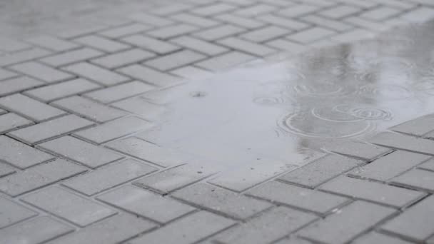 Vrouwelijke Voeten Laarzen Intensivering Regen Plas Vrouw Lopen Stoep Van — Stockvideo