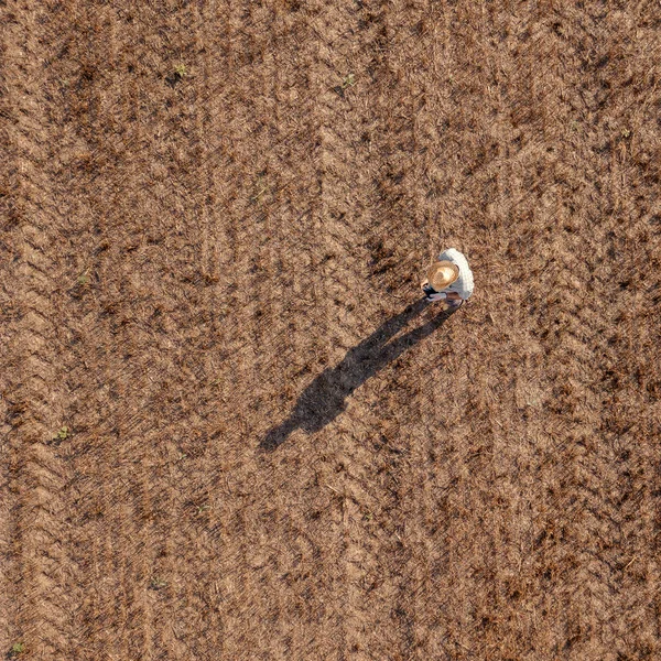 Vista superior do agricultor masculino voando um drone no campo — Fotografia de Stock