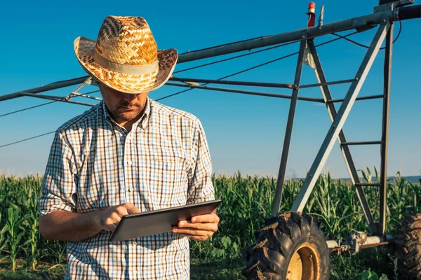 Agricultor usando tableta en maizal con sistema de riego —  Fotos de Stock