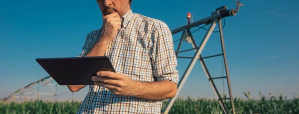 Agricultor usando tableta en maizal con sistema de riego —  Fotos de Stock