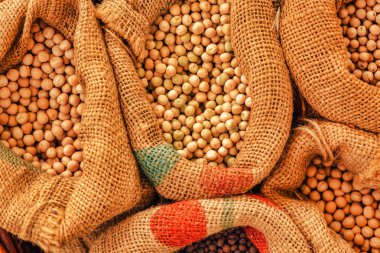 Çuval bezi çuvallar içinde hasat soya bol