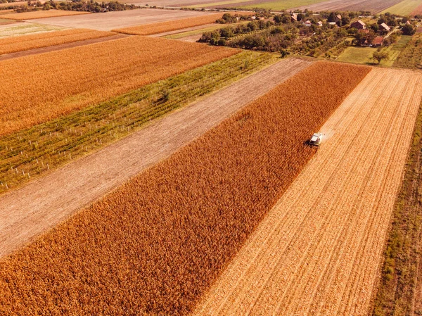 Vista aérea de cosechadora en maizal — Foto de Stock