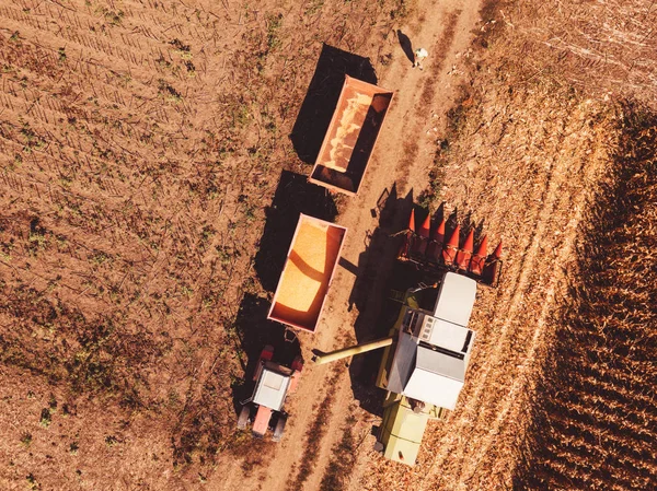 Вид с воздуха на комбайн, заливающий зерна кукурузы в корзину — стоковое фото