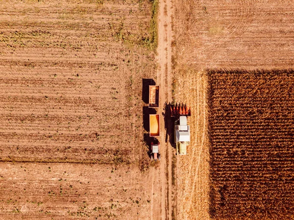 Vista aérea de la cosechadora que vierte granos de maíz en el carro —  Fotos de Stock