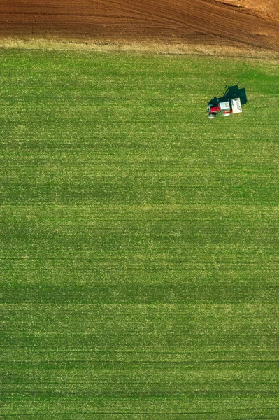 Trator agrícola que fertiliza campo de cultivo de trigo com NPK — Fotografia de Stock