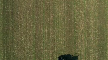 Tarım traktörü buğday kırpma alanıyla Npk gübrelerin, dron pov havadan görünümden gübreleme