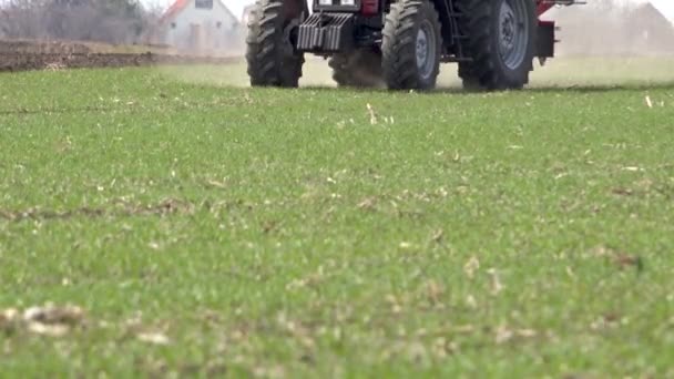 Фермерский Трактор Удобряет Пшеничное Поле Питательными Веществами Удобрений Npk Съемка — стоковое видео