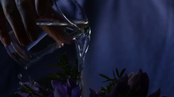 Женщина Поливает Букет Цветов Pulsatilla Grandis Большой Паскский Цветок — стоковое видео