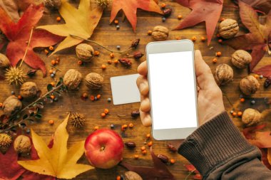 Smartphone kadar el ile sonbahar dekorasyon alay