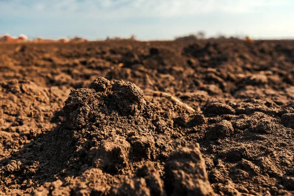 Geploegd land klaar voor zaaidoeleinden seizoen van landbouwgewassen — Stockfoto
