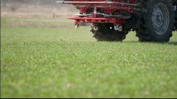 農業トラクターは Npk 肥料の栄養素が付いている小麦の穀物の分野を施肥する スローモーションの手持ち型の映像 — ストック動画