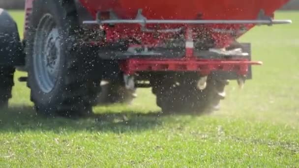 Tractor Agrícola Está Fertilizando Campo Cultivo Trigo Con Nutrientes Fertilizantes — Vídeo de stock