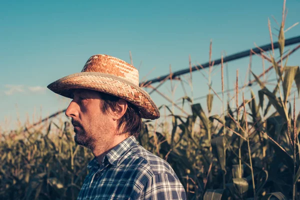 トウモロコシ畑の深刻な農家の肖像画 — ストック写真