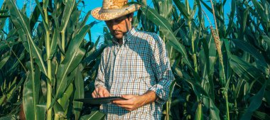 Tablet bilgisayar Mısır kırpma alanı ile çiftçi Ziraat Mühendisi