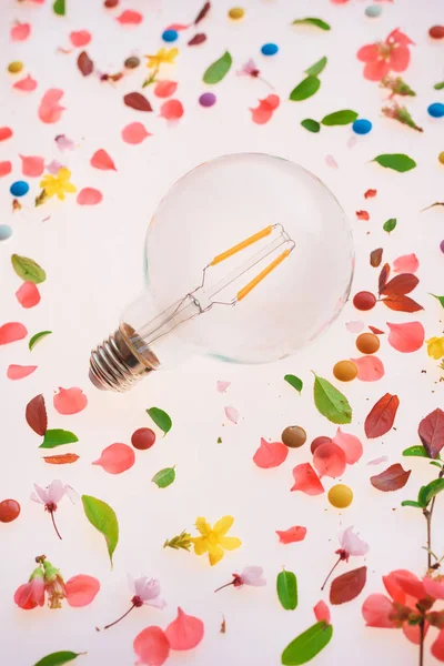 Lampadina creatività e nuove idee concetto — Foto Stock