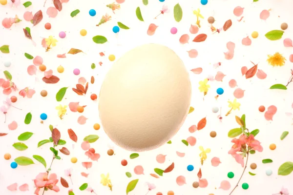 Easter egg with colorful background — Stock Photo, Image
