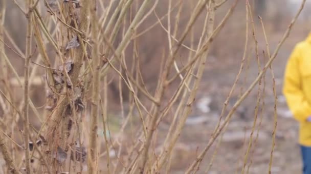 Vrouw Een Regenjas Wandelen Door Weide Een Regenachtige Dag Bang — Stockvideo