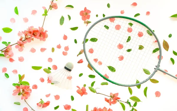 Badmintonracket och badmintonbollen — Stockfoto