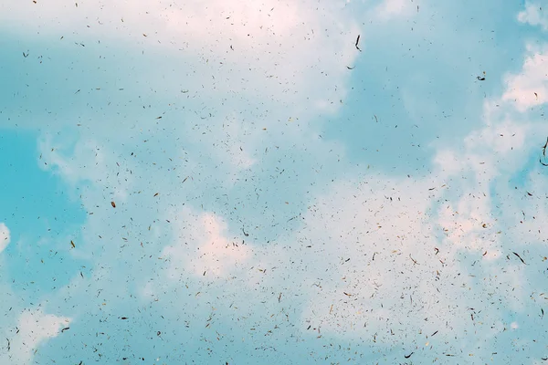 Polvo y partículas de suciedad en el aire — Foto de Stock