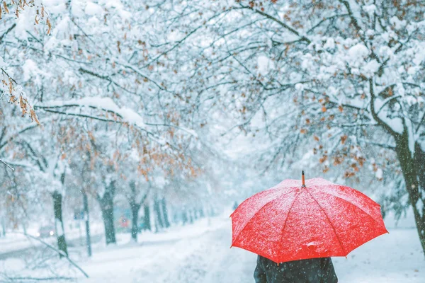 Kobieta pod czerwony parasol spaceru w snow zima — Zdjęcie stockowe