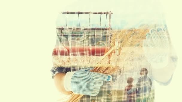 Wheat Harvest Double Exposure Conceptual Footage Male Female Farmers Looking — Stock Video