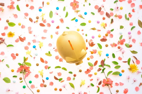 Piggy sikke banka ve bahar çiçek dekorasyon — Stok fotoğraf