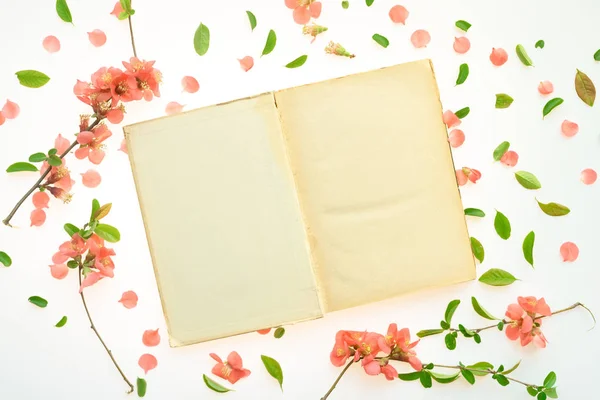 Mock livro velho com decoração floral primavera — Fotografia de Stock