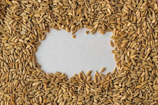 玄米有機ひまわりの種、トップ ビュー — ストック写真