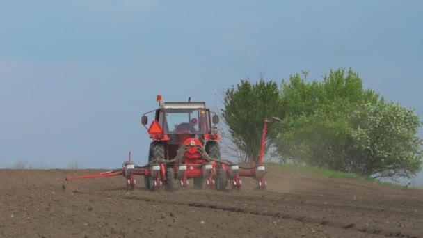 Nierozpoznawalny Rolnik Napędza Ciągnik Siewnikiem Uprawnym Sadzeniem Nasion Kukurydzy Terenie — Wideo stockowe