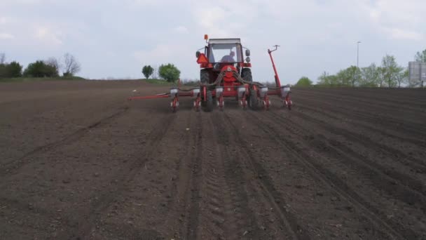 畑にトウモロコシを播種トラクターのドローンのポップ 農業活動の空中ビュー — ストック動画