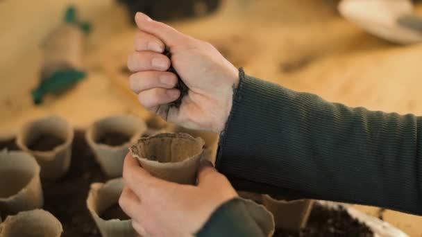 Jardineiro Enchimento Biodegradável Recipiente Turfa Solo Pronto Para Semeadura Plantio — Vídeo de Stock