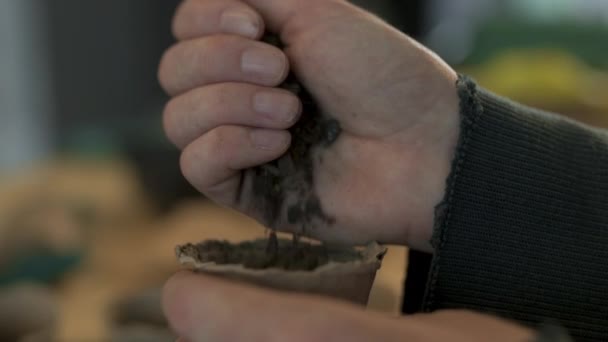 庭師充填生分解性土壌泥炭鍋コンテナ有機食品製造庭で種を播種し 植えるための準備ができて 女性の手のクローズアップ — ストック動画