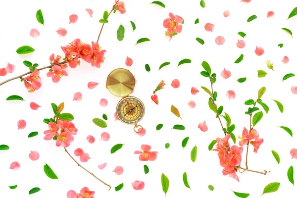 Bahar çiçek dekorasyonu ile navigasyon pusula, üst görünümü — Stok fotoğraf