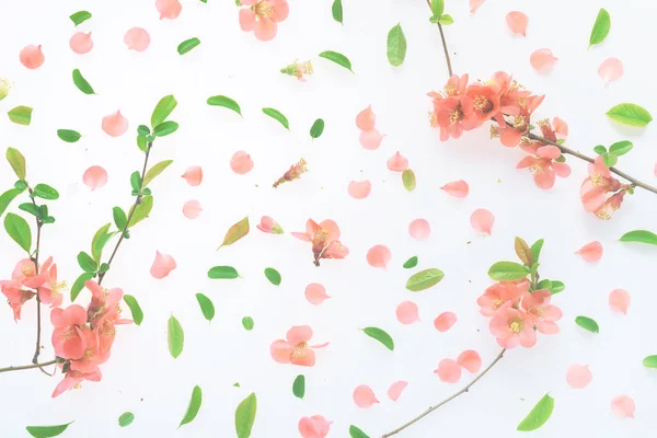 Colorida primavera decoración floral plana vista superior —  Fotos de Stock