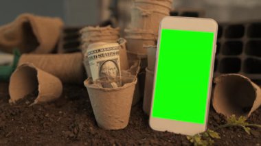Akıllı telefon organik tarım konsepti için sahte, bahçede biyobozunur karton pot toprak kaplarda Abd doları banknotlar rulo ile modern cep telefonu cihazı