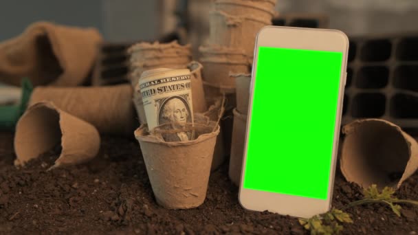 智能手机模拟有机农业概念 现代手机设备与卷美元钞票在可生物降解纸板锅土壤容器在花园 — 图库视频影像