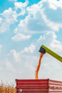 Traktör carg içine mısır taneleri dökülen hasat boşaltma birleştirin