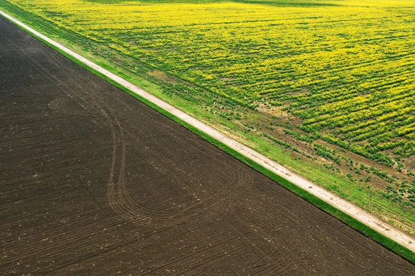 Luchtfoto van geploegd veld van drone POV — Stockfoto
