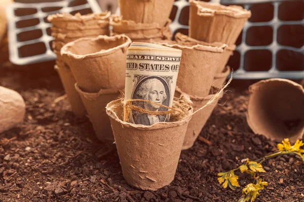 Biodegradable peat pot soil containers and US dollar banknotes — Stock Photo, Image