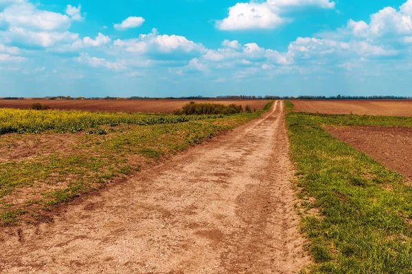 Camino de tierra a través del campo llano —  Fotos de Stock