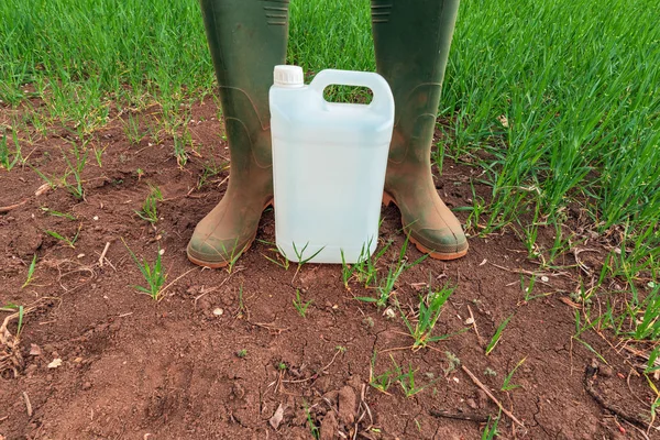 Boer staande over insecticide Jug in tarwegras veld — Stockfoto