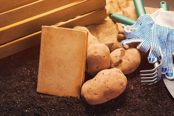 Old book on growing organic potato, mock up — Stok Foto