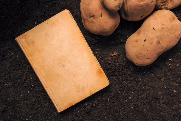 Altes Buch über den Anbau von Biokartoffeln, mock up — Stockfoto