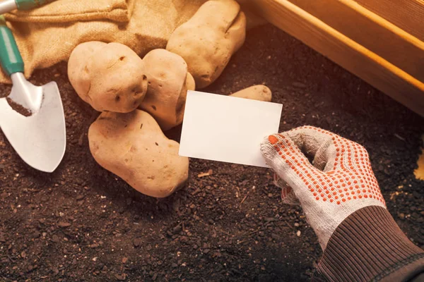 Zemědělec ekologické brambory držící prázdnou vizitku — Stock fotografie