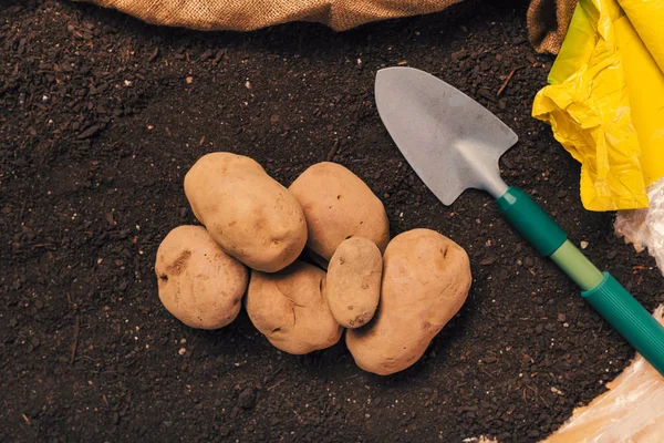 Yere organik patates yumru ve kürek yığını — Stok fotoğraf