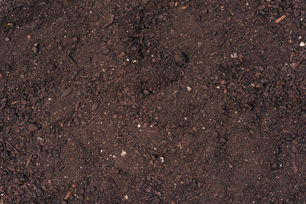Potting soil top view texture
