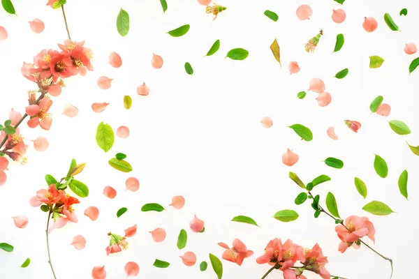 Colorata primavera sfondo piatto lay vista dall'alto — Foto Stock