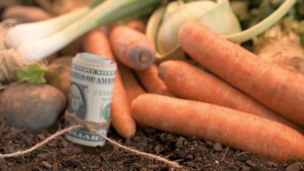 Zisk Ekologického Zemědělství Tvorba Peněz Vrcholu Sklizených Domácích Produktů — Stock video
