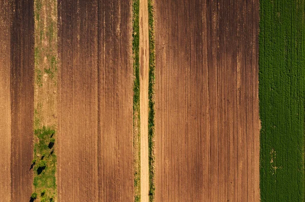 Luchtfoto van onverharde weg door agrarisch veld boven naar beneden — Stockfoto